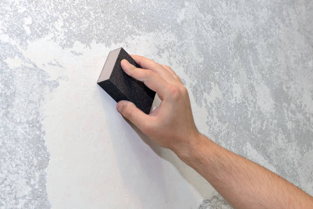 Best Post-Construction Mold Inspection  in Granville, WV