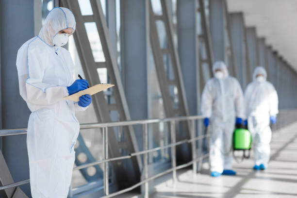 Best Black Mold Removal  in Granville, WV