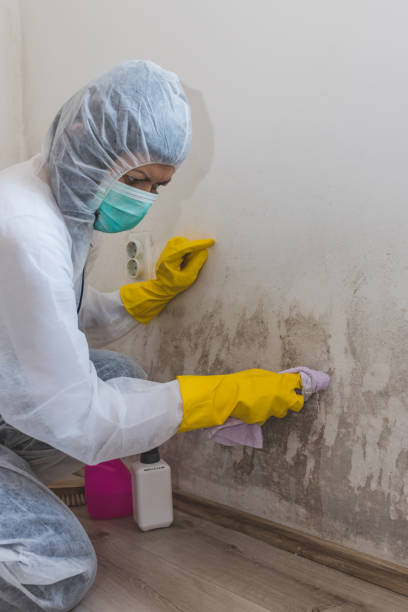 Best Airborne Mold Testing  in Granville, WV