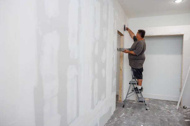 Trusted Granville, WV Mold Removal Experts