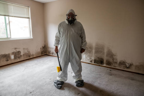Mold Documentation for Insurance Claims in Granville, WV